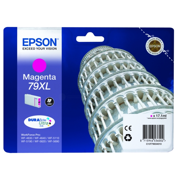 Cartuccia Inkjet Epson C 13 T 79034010