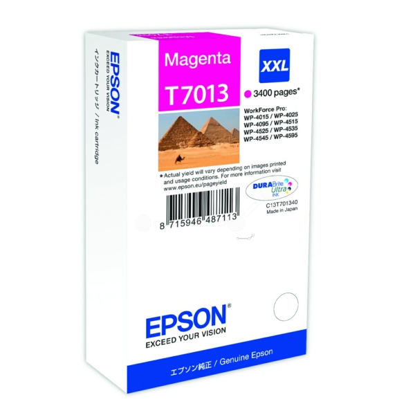 Cartuccia Inkjet Epson C 13 T 70134010